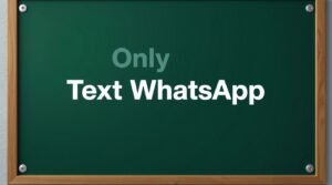 whatsapp logicalshout